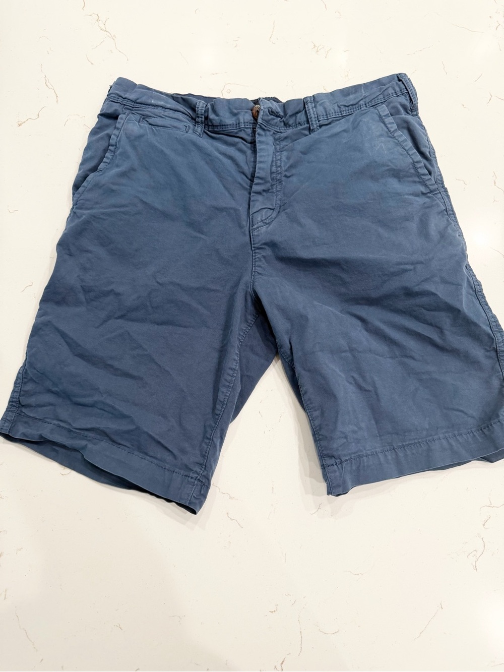 American Eagle Outfitters Navy Blue Flat-Front Shorts